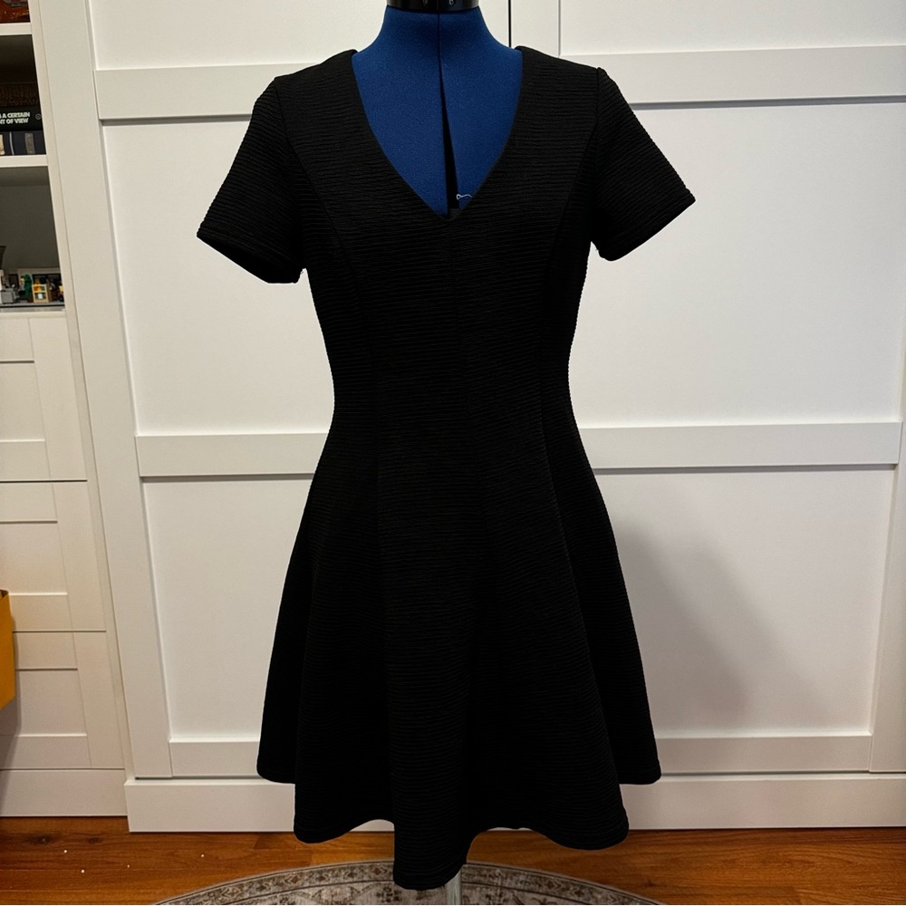 Hutch Black V-Neck Fit and Flare Mini Dress